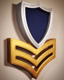 USCG First Class Shadow Box