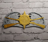 3D USCG Response Operations Ashore Insignia