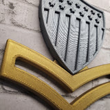 3D USCG Petty Officer Second Class E5 Device