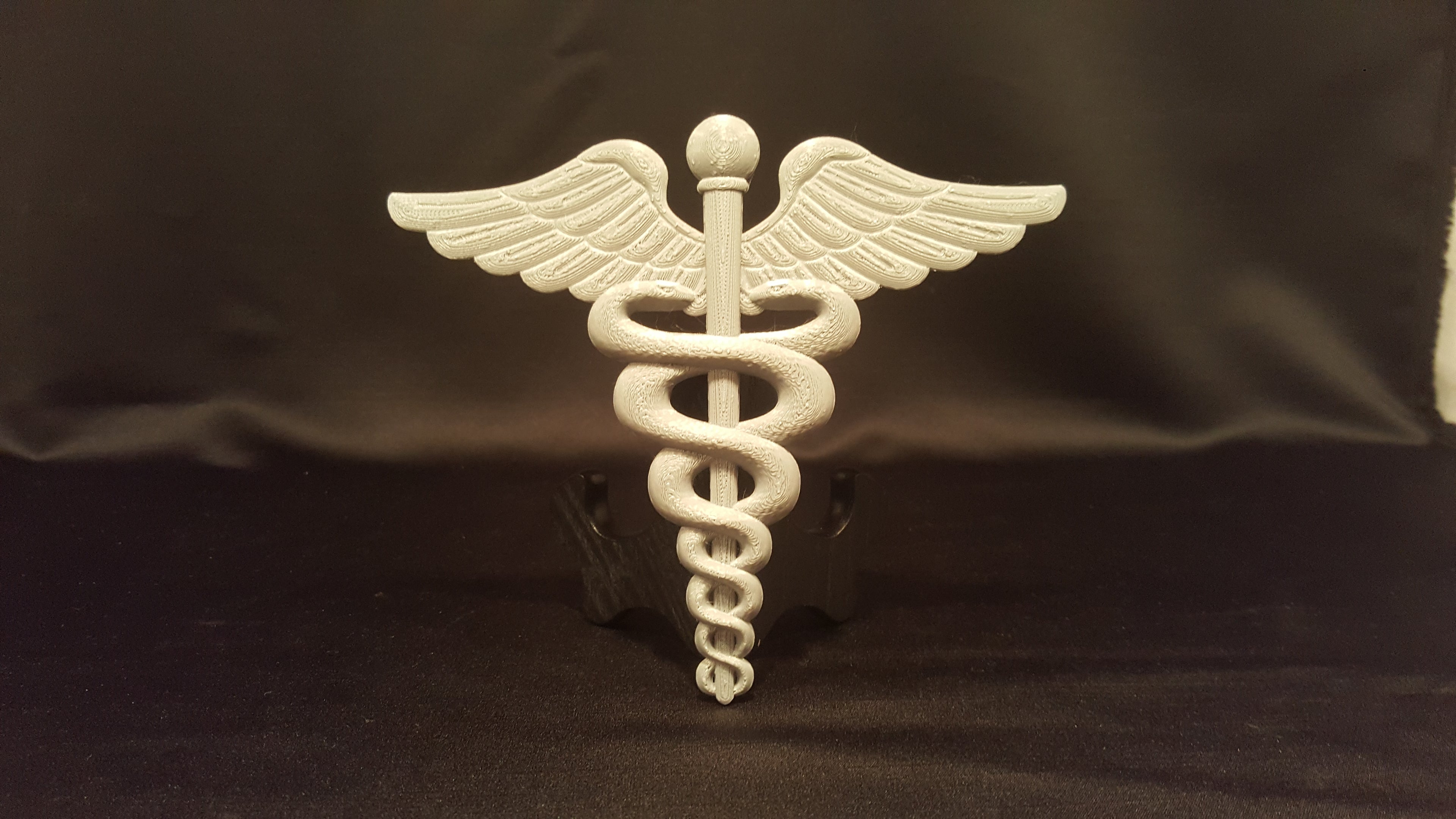 3D USCG HS Caduceus