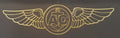 Decal - Air Crew Wings