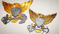 3D USCG Officer Eagle
