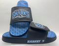 SCHS Custom Slides